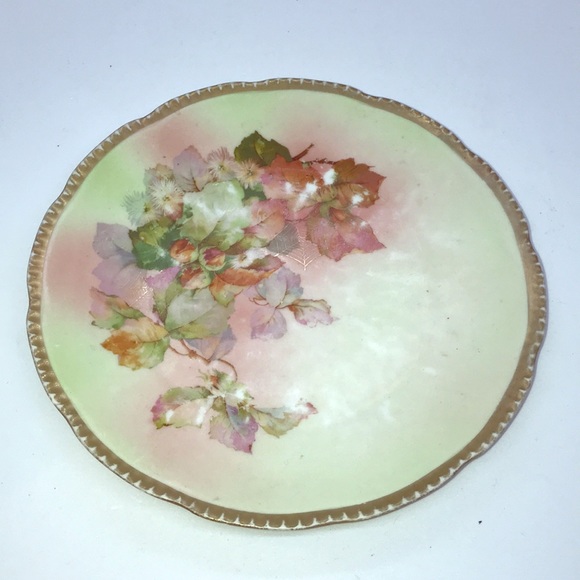 Vintage Other - Vintage Royal Rudoltadt Plate Unique Gold Harvest Cobwebs